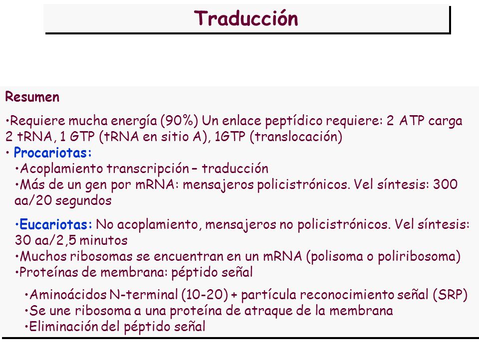 Traducción Resumen. Requiere mucha energía (90%) Un enlace peptídico requiere: 2 ATP carga 2 tRNA, 1 GTP (tRNA en sitio A), 1GTP (translocación)
