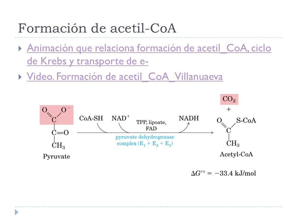 Formación de acetil-CoA