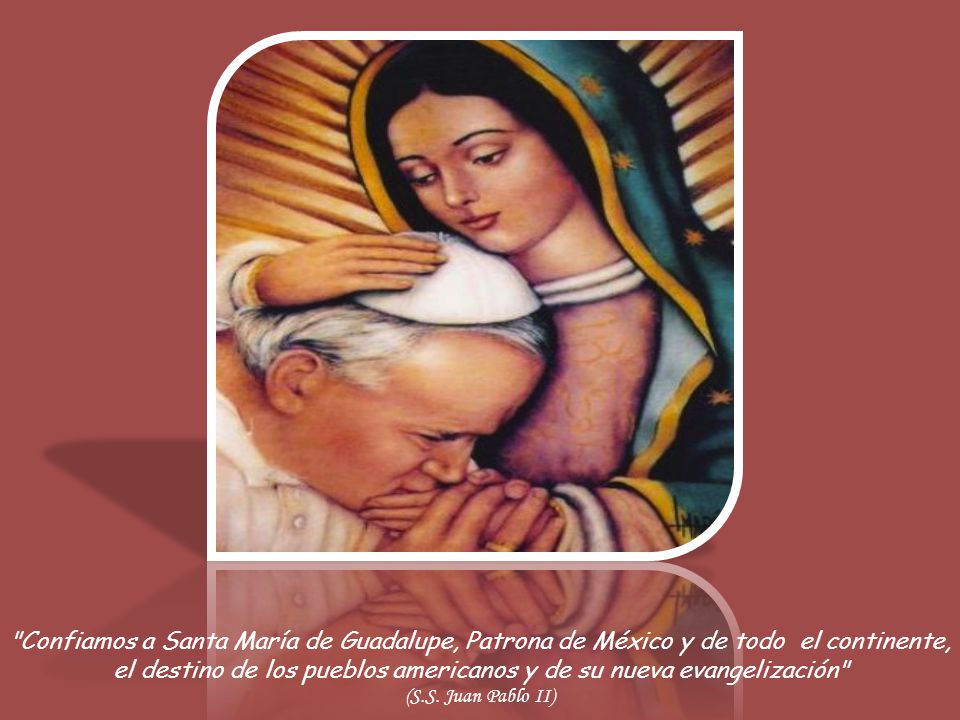 Confiamos a Santa María de Guadalupe, Patrona de México y de todo el continente, el destino de los pueblos americanos y de su nueva evangelización (S.S. Juan Pablo II)