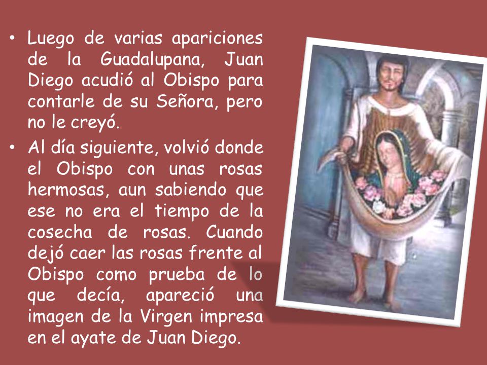 Luego de varias apariciones de la Guadalupana, Juan Diego acudió al Obispo para contarle de su Señora, pero no le creyó.