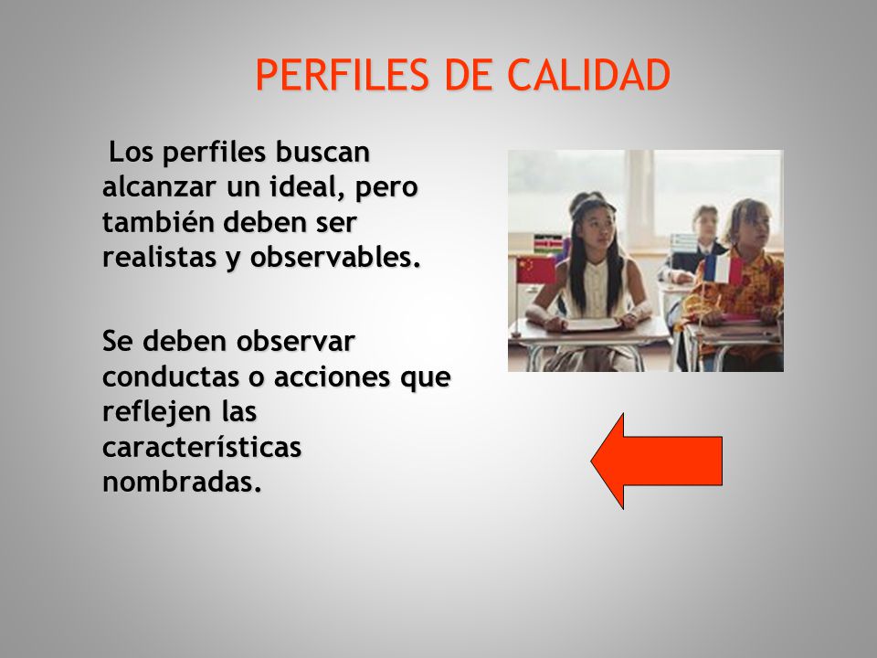 PERFILES DE CALIDAD Los perfiles buscan alcanzar un ideal, pero también deben ser realistas y observables.