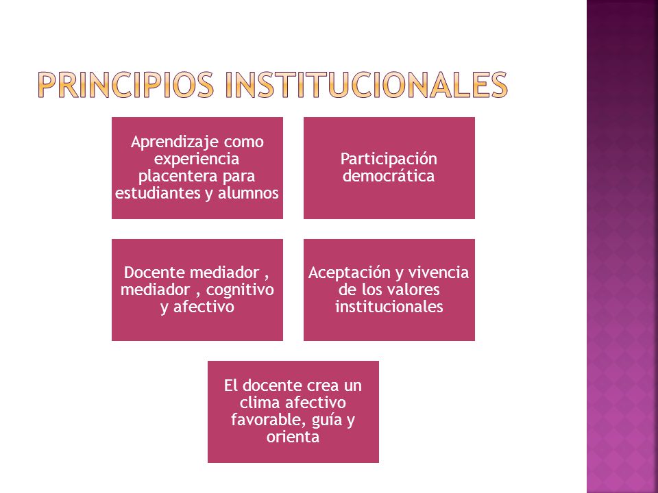 Principios institucionales