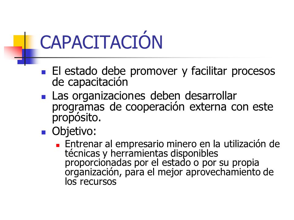 CAPACITACIÓN El estado debe promover y facilitar procesos de capacitación.