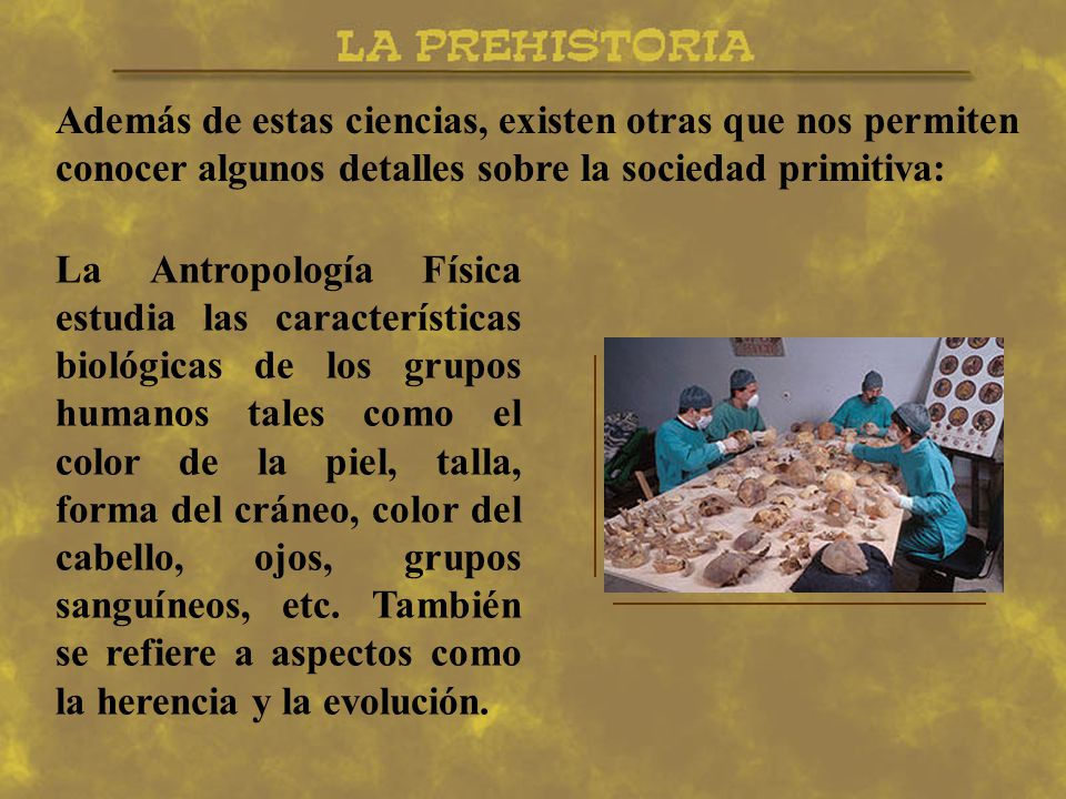 Además de estas ciencias, existen otras que nos permiten conocer algunos detalles sobre la sociedad primitiva: