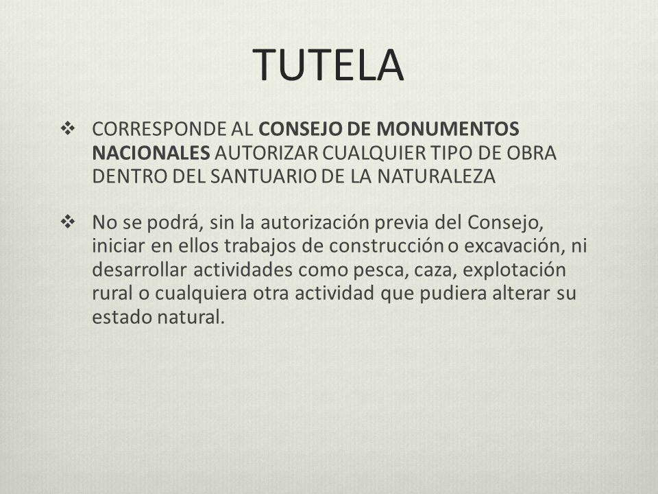 TUTELA CORRESPONDE AL CONSEJO DE MONUMENTOS NACIONALES AUTORIZAR CUALQUIER TIPO DE OBRA DENTRO DEL SANTUARIO DE LA NATURALEZA.