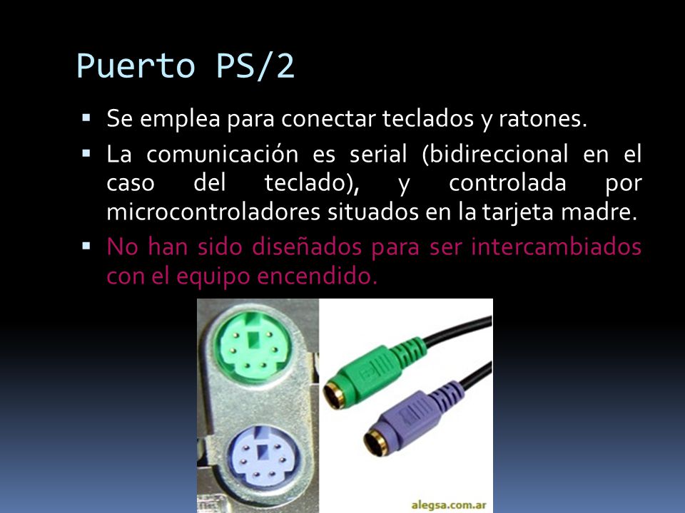 Puerto PS/2 Se emplea para conectar teclados y ratones.