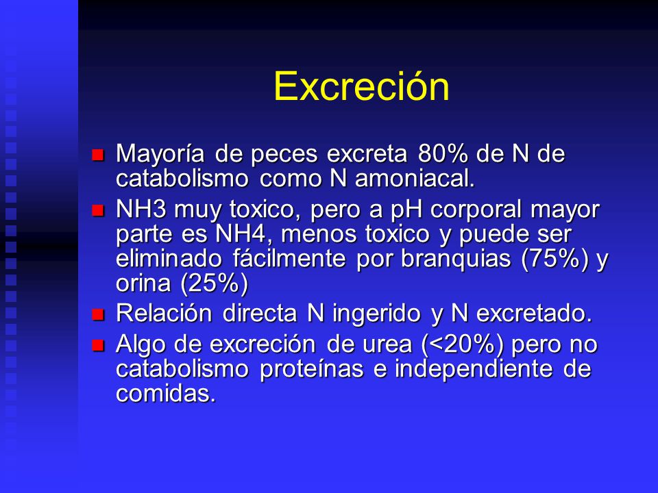 Excreción Mayoría de peces excreta 80% de N de catabolismo como N amoniacal.