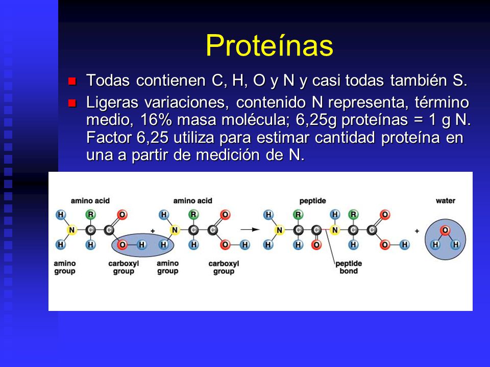 Proteínas Todas contienen C, H, O y N y casi todas también S.