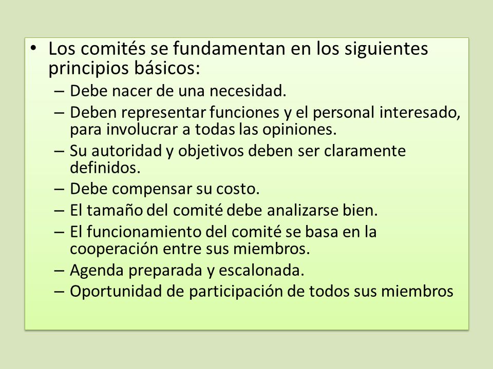 Los comités se fundamentan en los siguientes principios básicos:
