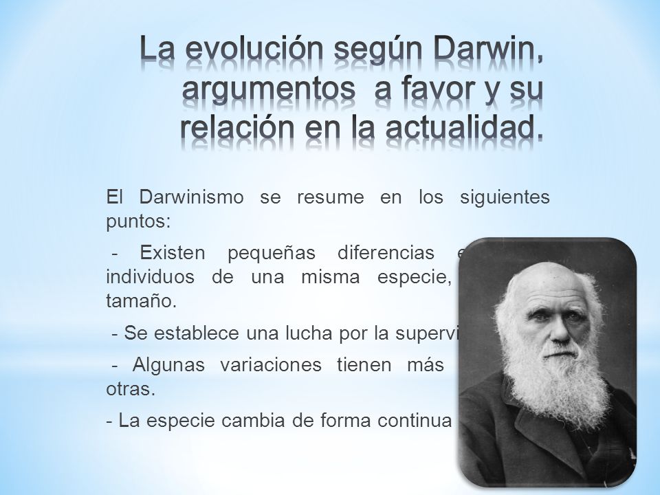 La evolución según Darwin, argumentos a favor y su relación en la actualidad.