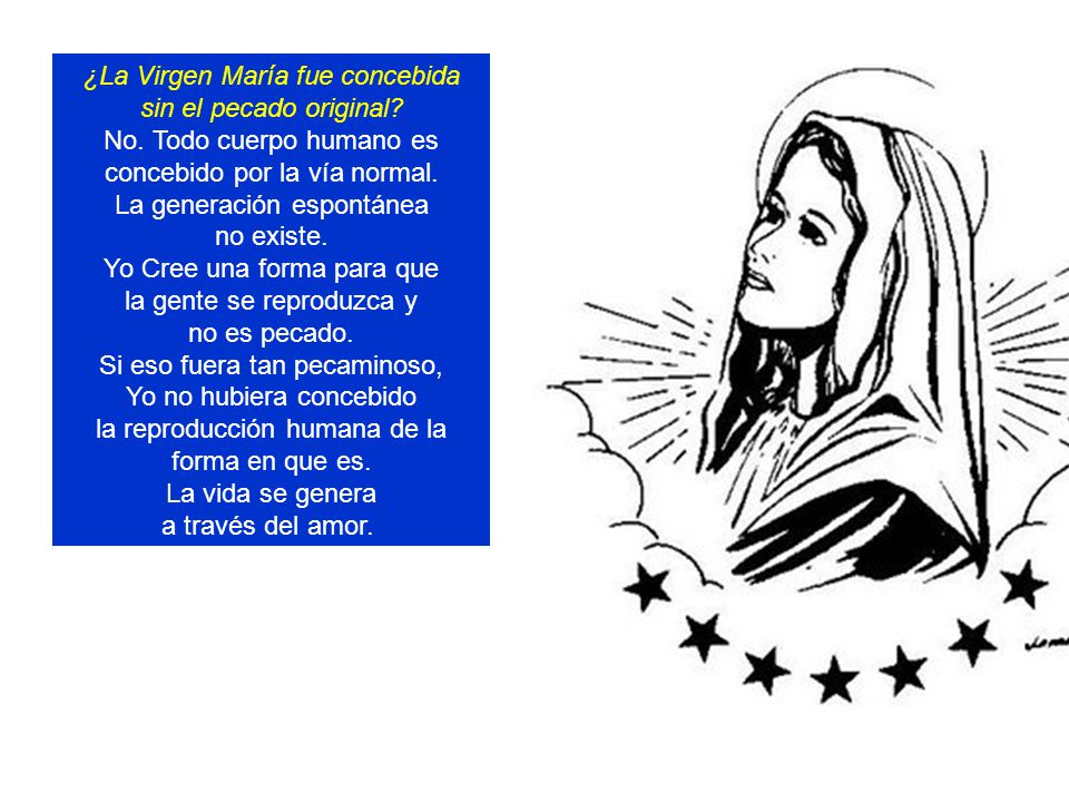 ¿La Virgen María fue concebida sin el pecado original