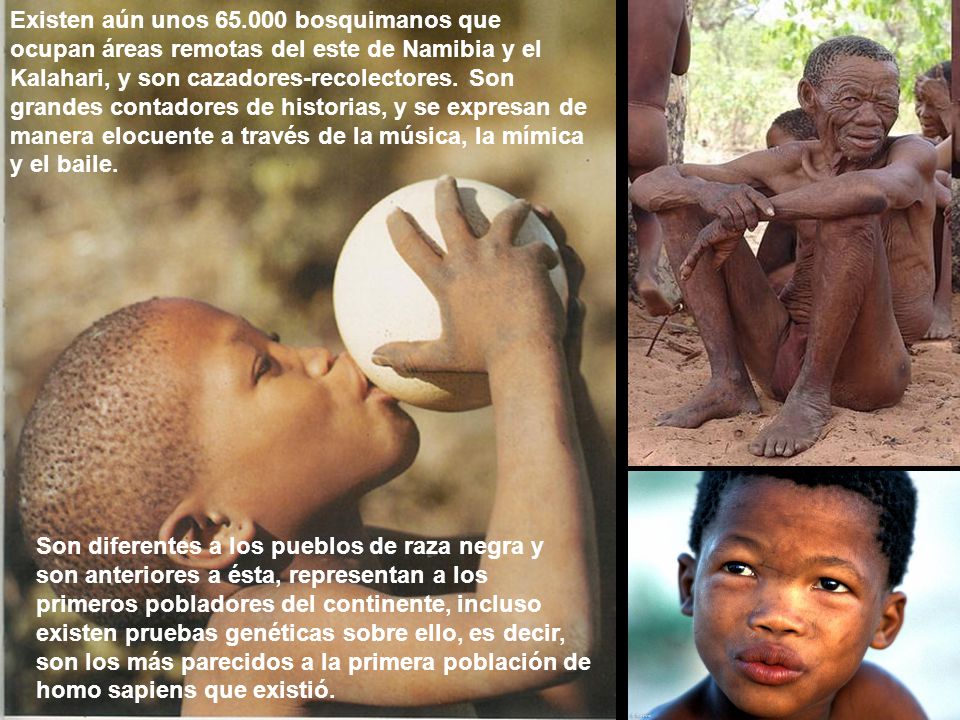 Existen aún unos bosquimanos que ocupan áreas remotas del este de Namibia y el Kalahari, y son cazadores-recolectores. Son grandes contadores de historias, y se expresan de manera elocuente a través de la música, la mímica y el baile.