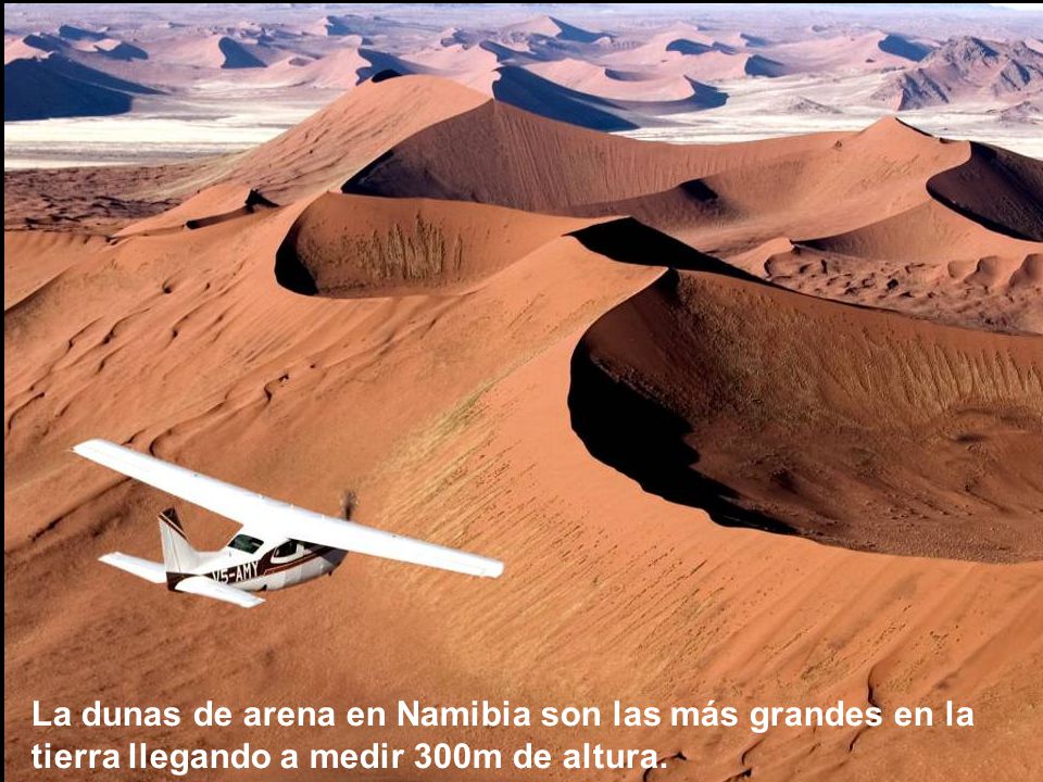 La dunas de arena en Namibia son las más grandes en la tierra llegando a medir 300m de altura.