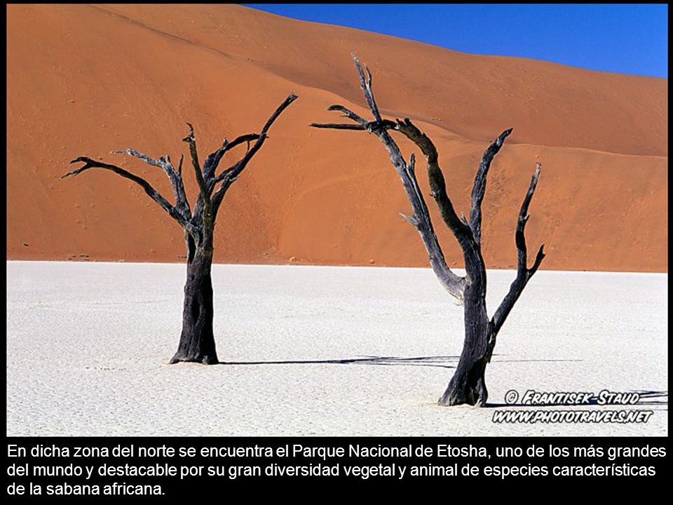 En dicha zona del norte se encuentra el Parque Nacional de Etosha, uno de los más grandes del mundo y destacable por su gran diversidad vegetal y animal de especies características de la sabana africana.