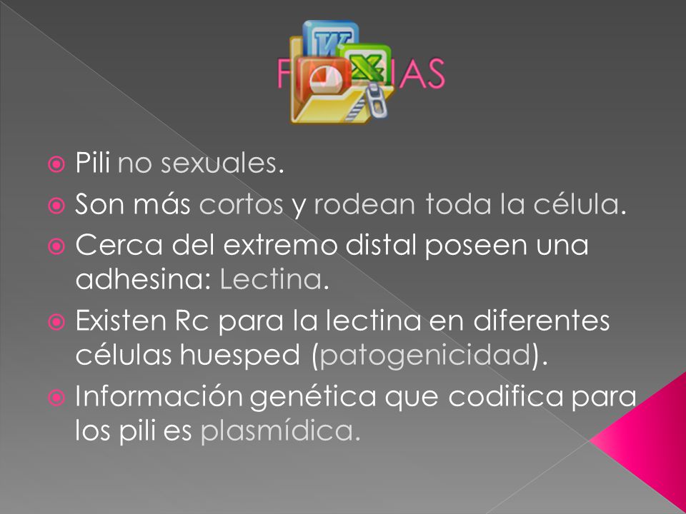 Pili no sexuales. Son más cortos y rodean toda la célula. Cerca del extremo distal poseen una adhesina: Lectina.