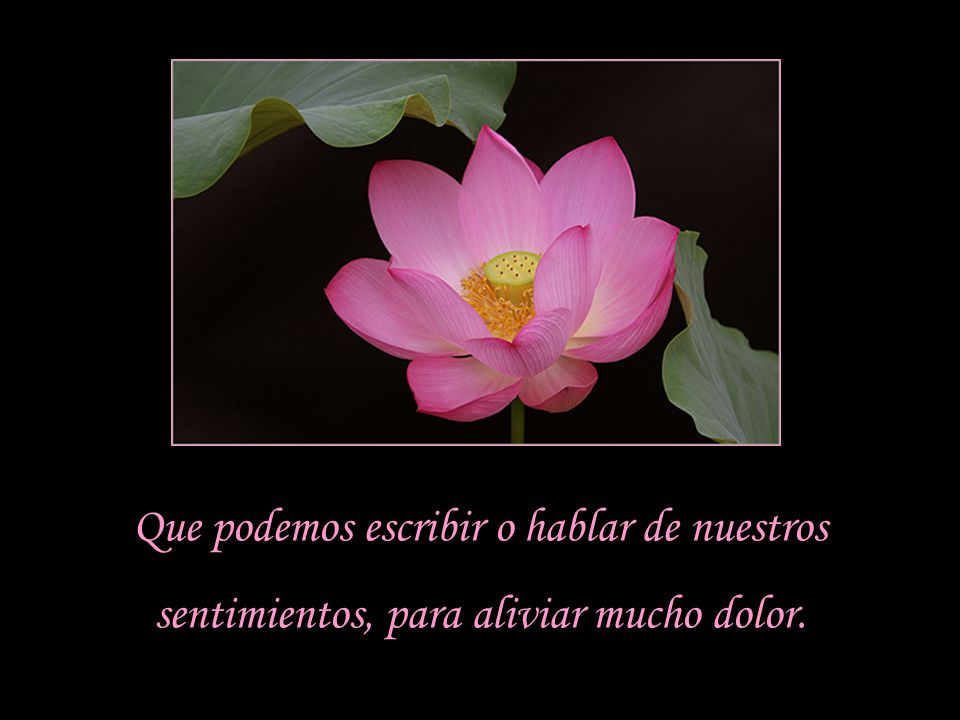 Que podemos escribir o hablar de nuestros sentimientos, para aliviar mucho dolor.