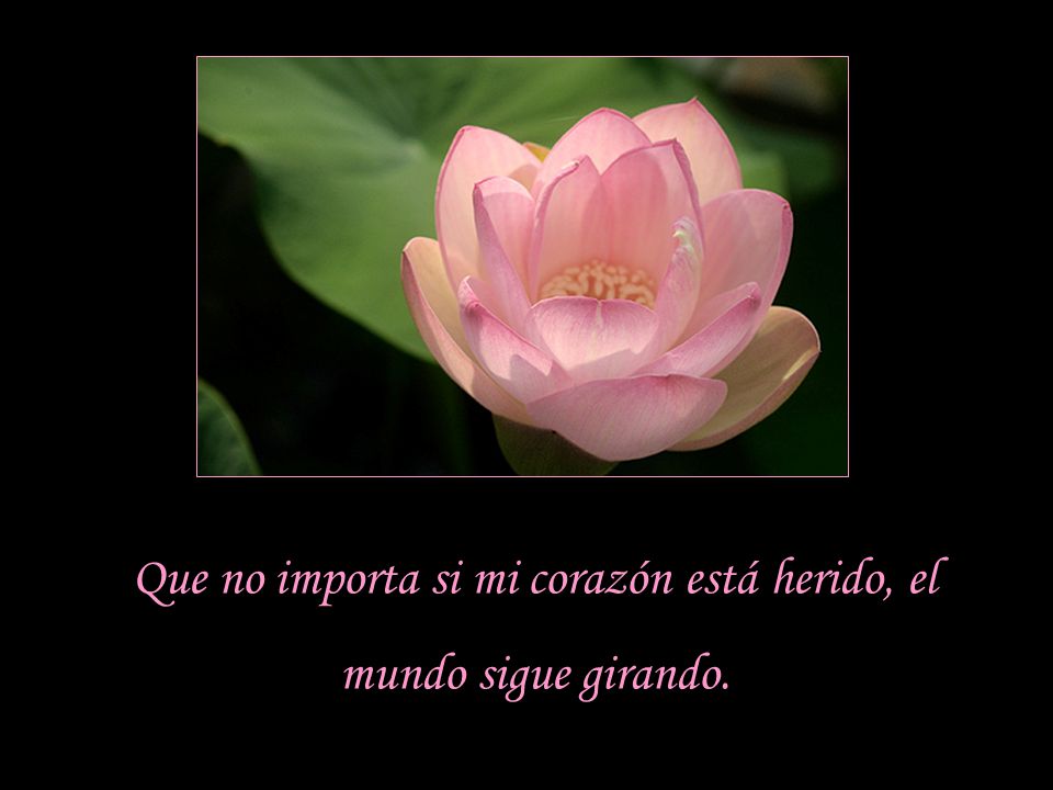 Que no importa si mi corazón está herido, el mundo sigue girando.
