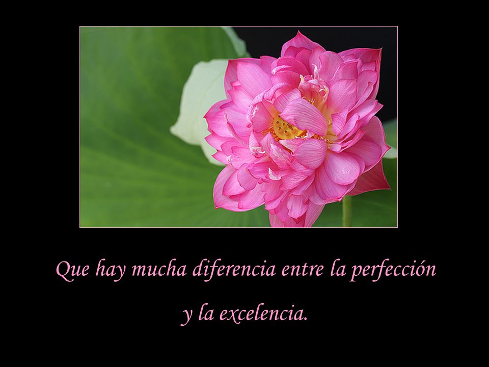 Que hay mucha diferencia entre la perfección y la excelencia.