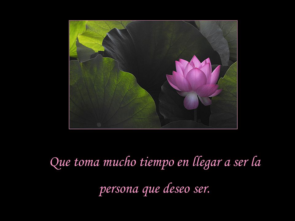 Que toma mucho tiempo en llegar a ser la persona que deseo ser.