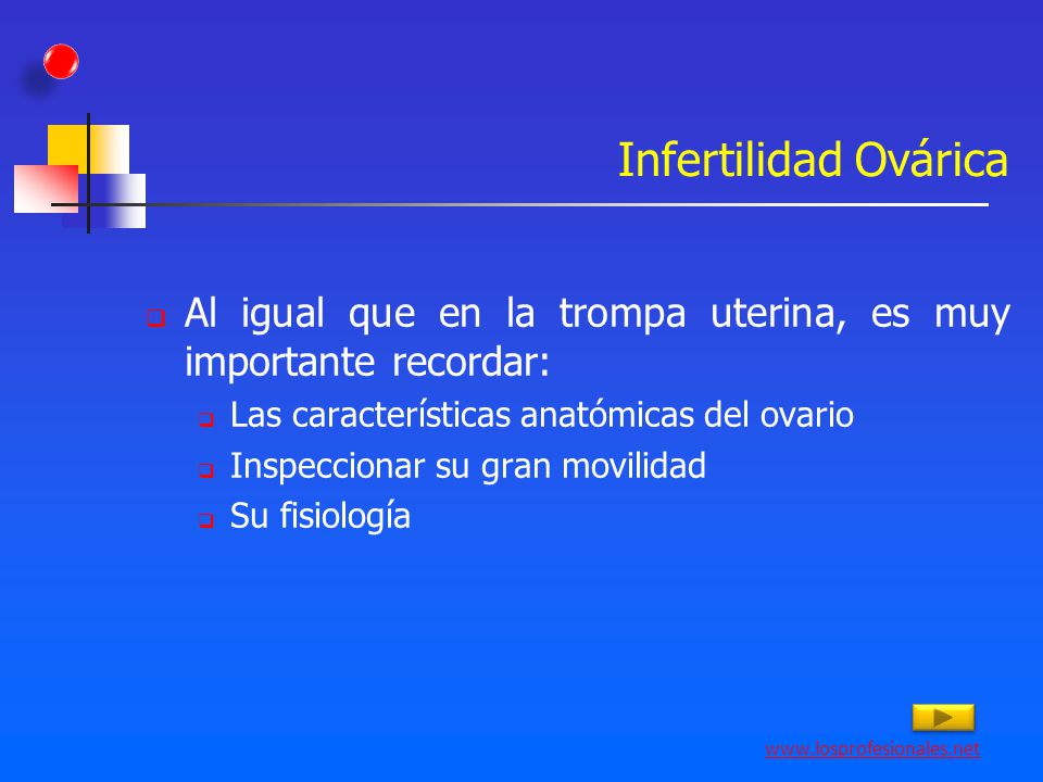 Infertilidad Ovárica Al igual que en la trompa uterina, es muy importante recordar: Las características anatómicas del ovario.