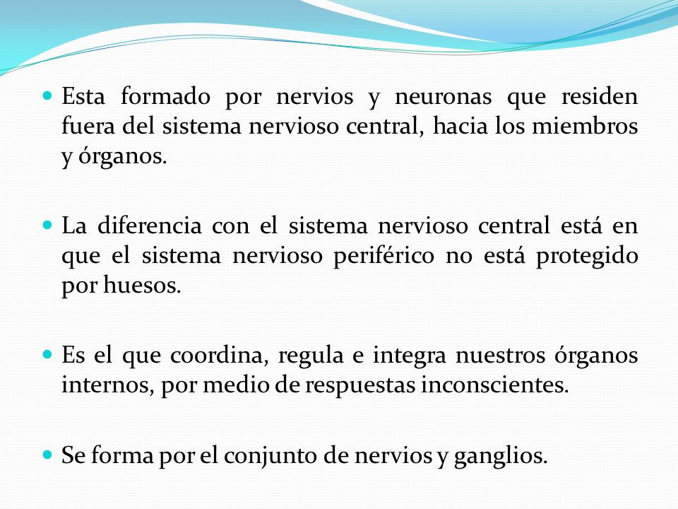 Esta formado por nervios y neuronas que residen fuera del sistema nervioso central, hacia los miembros y órganos.