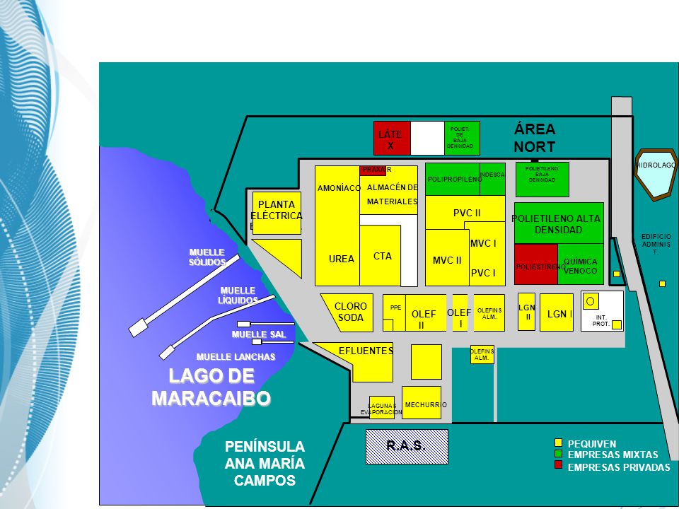 LAGO DE MARACAIBO ÁREA NORTE PENÍNSULA ANA MARÍA CAMPOS R.A.S. PLANTA