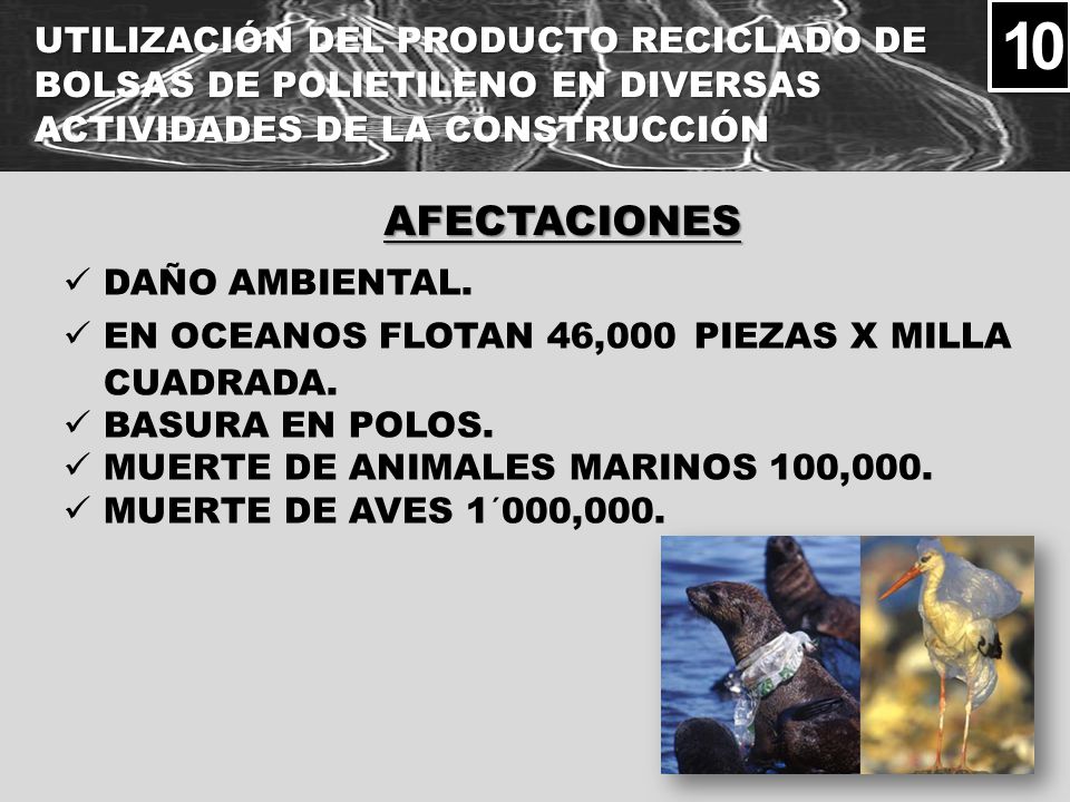 10 UTILIZACIÓN DEL PRODUCTO RECICLADO DE BOLSAS DE POLIETILENO EN DIVERSAS ACTIVIDADES DE LA CONSTRUCCIÓN.