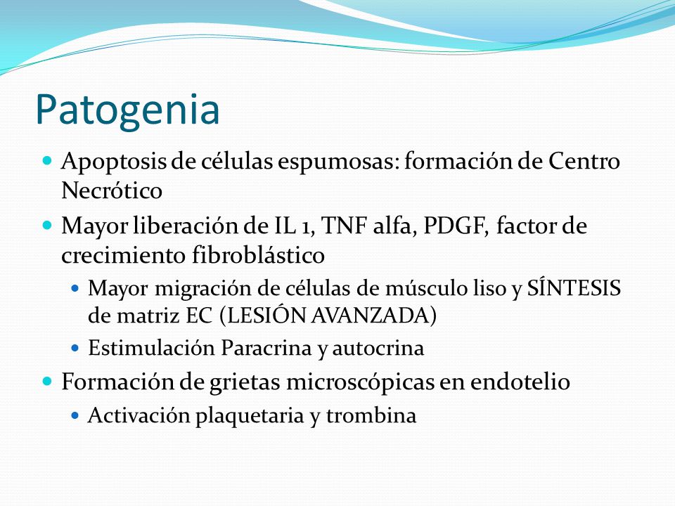 Patogenia Apoptosis de células espumosas: formación de Centro Necrótico.