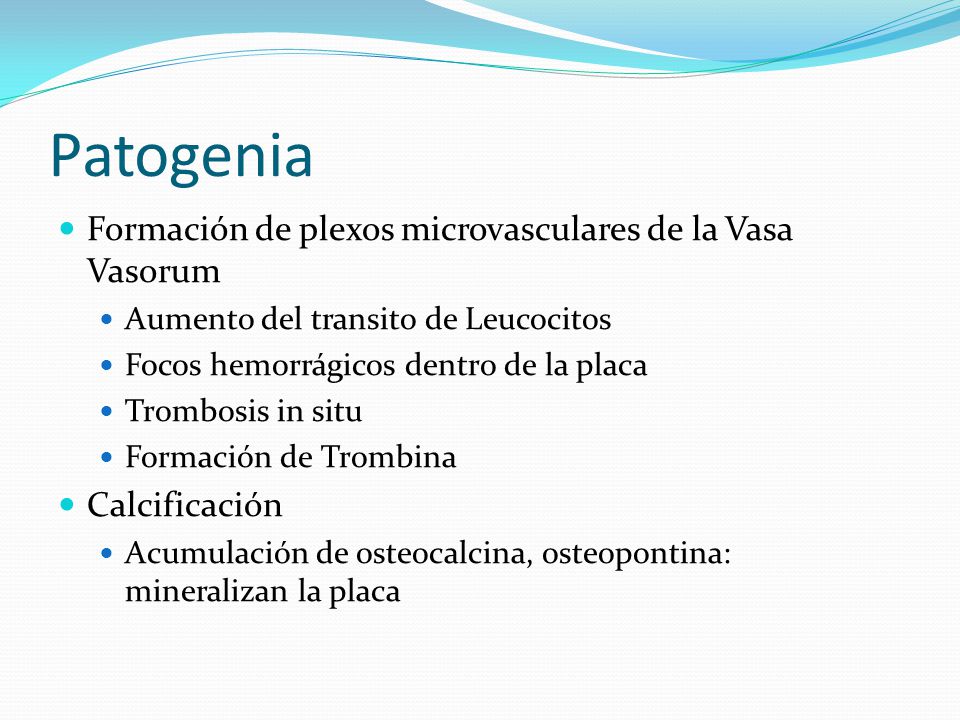 Patogenia Formación de plexos microvasculares de la Vasa Vasorum
