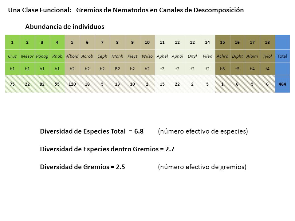 Una Clase Funcional: Gremios de Nematodos en Canales de Descomposición