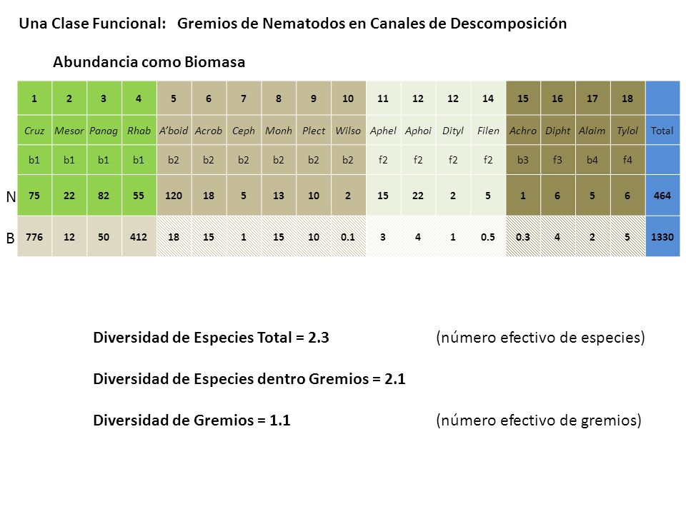 Una Clase Funcional: Gremios de Nematodos en Canales de Descomposición