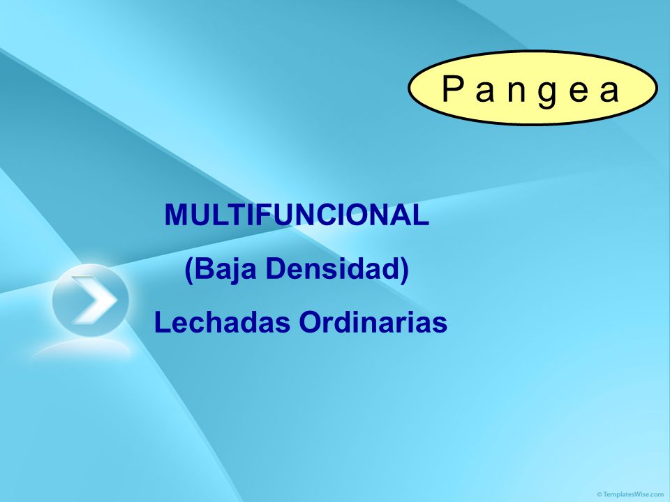 P a n g e a MULTIFUNCIONAL (Baja Densidad) Lechadas Ordinarias