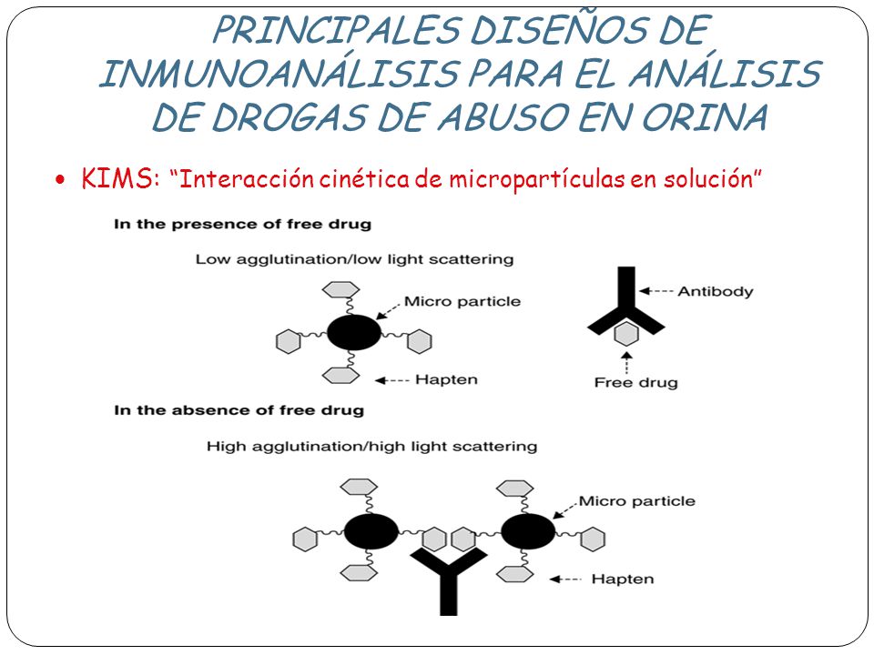 PRINCIPALES DISEÑOS DE INMUNOANÁLISIS PARA EL ANÁLISIS DE DROGAS DE ABUSO EN ORINA