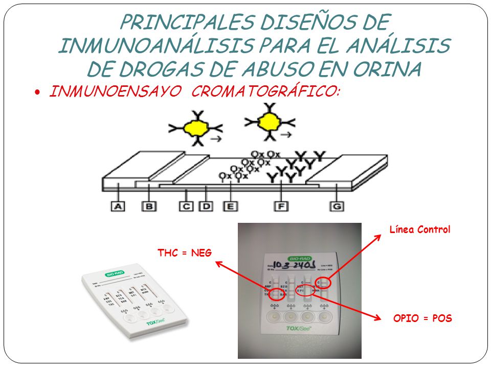 PRINCIPALES DISEÑOS DE INMUNOANÁLISIS PARA EL ANÁLISIS DE DROGAS DE ABUSO EN ORINA