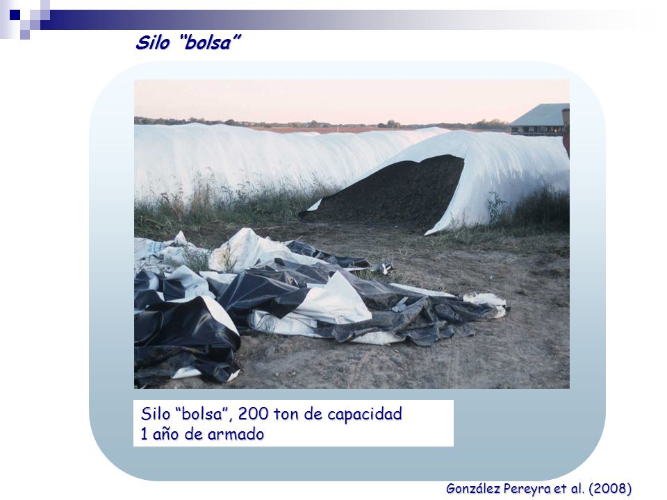 Silo bolsa Silo bolsa , 200 ton de capacidad 1 año de armado