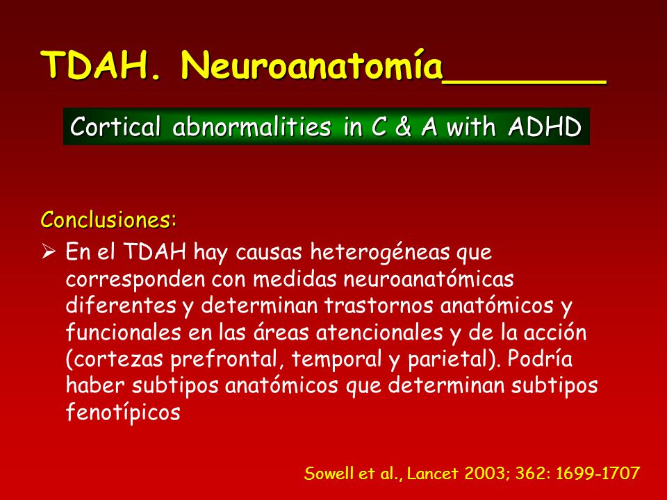 Cortical abnormalities in C & A with ADHD