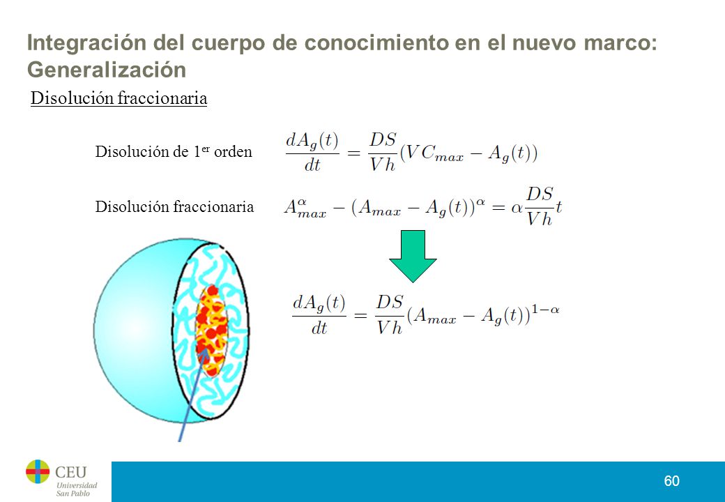 Integración del cuerpo de conocimiento en el nuevo marco: Generalización