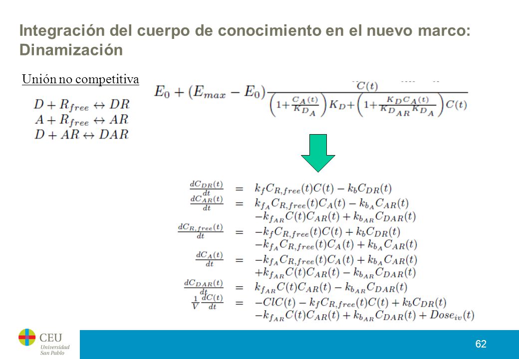 Integración del cuerpo de conocimiento en el nuevo marco: Dinamización