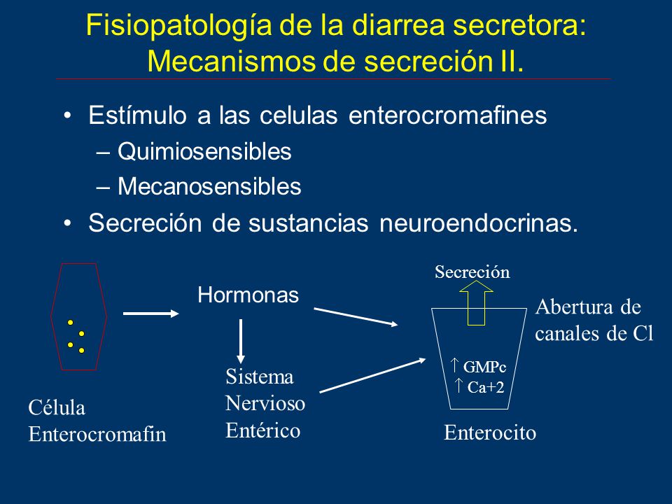 Fisiopatología de la diarrea secretora: Mecanismos de secreción II.