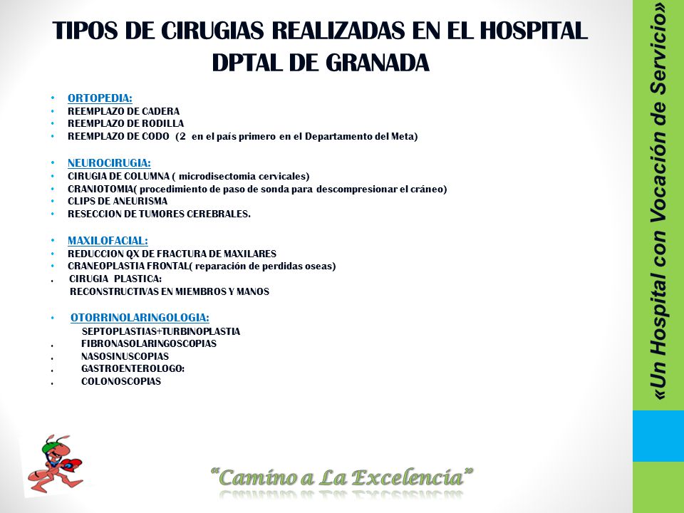 TIPOS DE CIRUGIAS REALIZADAS EN EL HOSPITAL DPTAL DE GRANADA