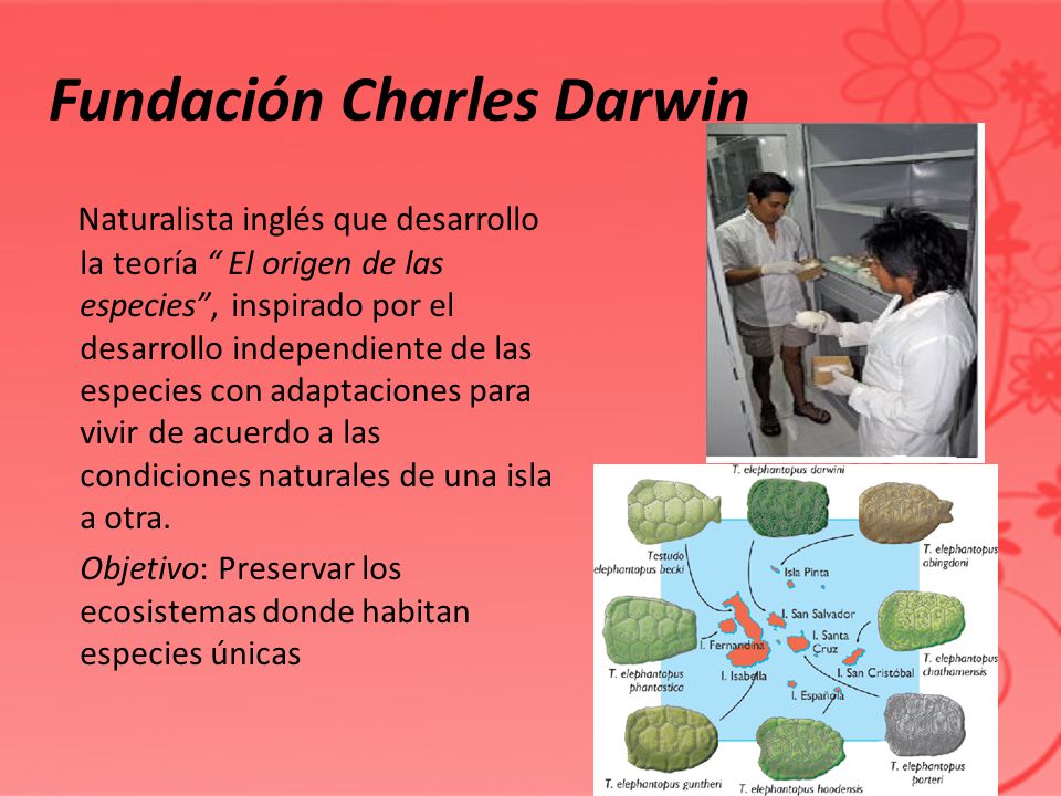 Fundación Charles Darwin