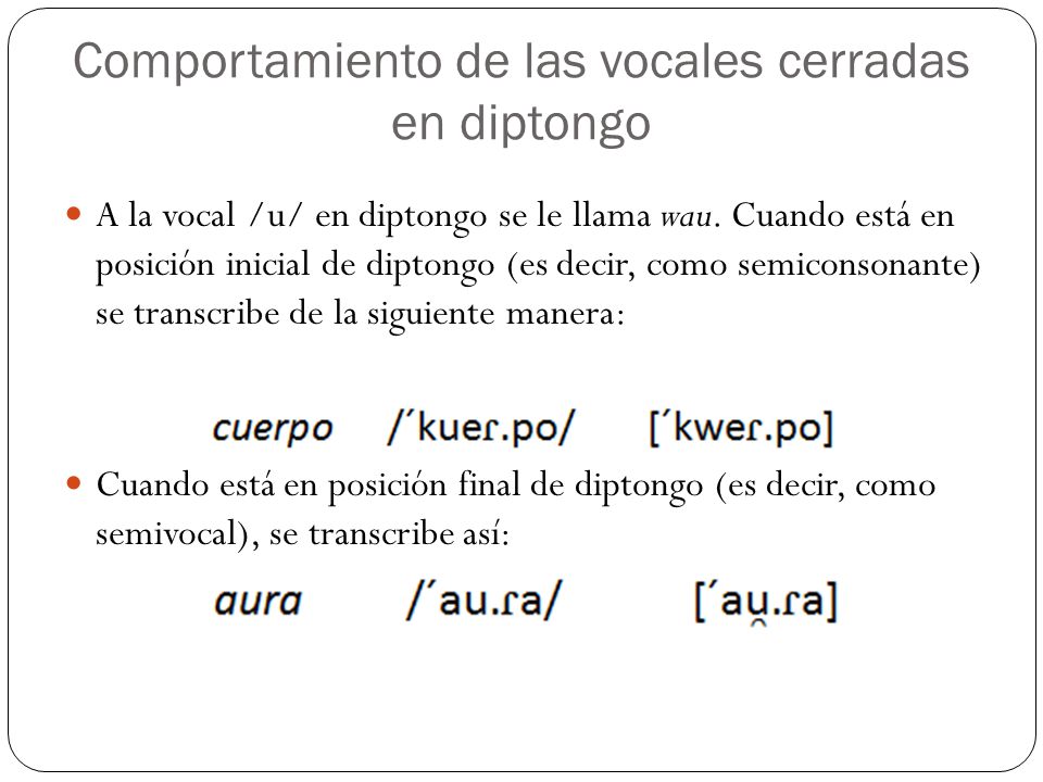 Comportamiento de las vocales cerradas en diptongo