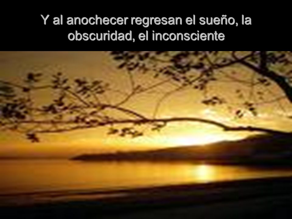 Y al anochecer regresan el sueño, la obscuridad, el inconsciente
