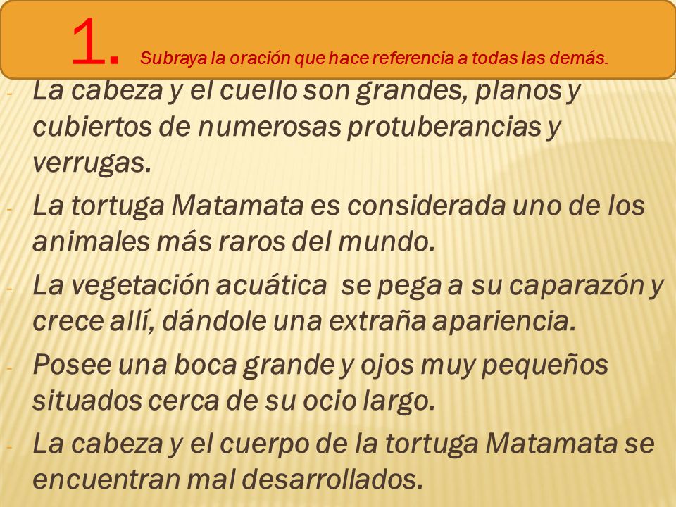 1. Subraya la oración que hace referencia a todas las demás.