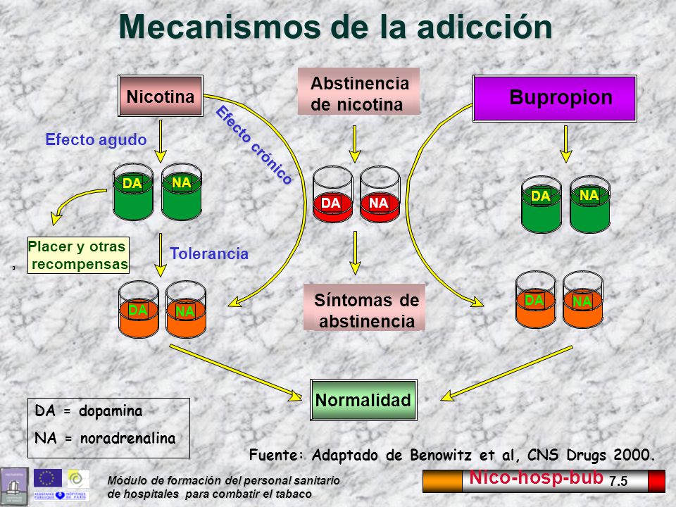Mecanismos de la adicción