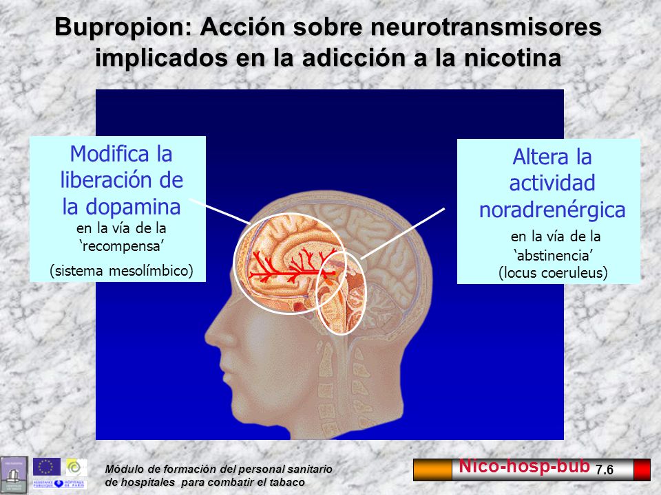 Bupropion: Acción sobre neurotransmisores implicados en la adicción a la nicotina