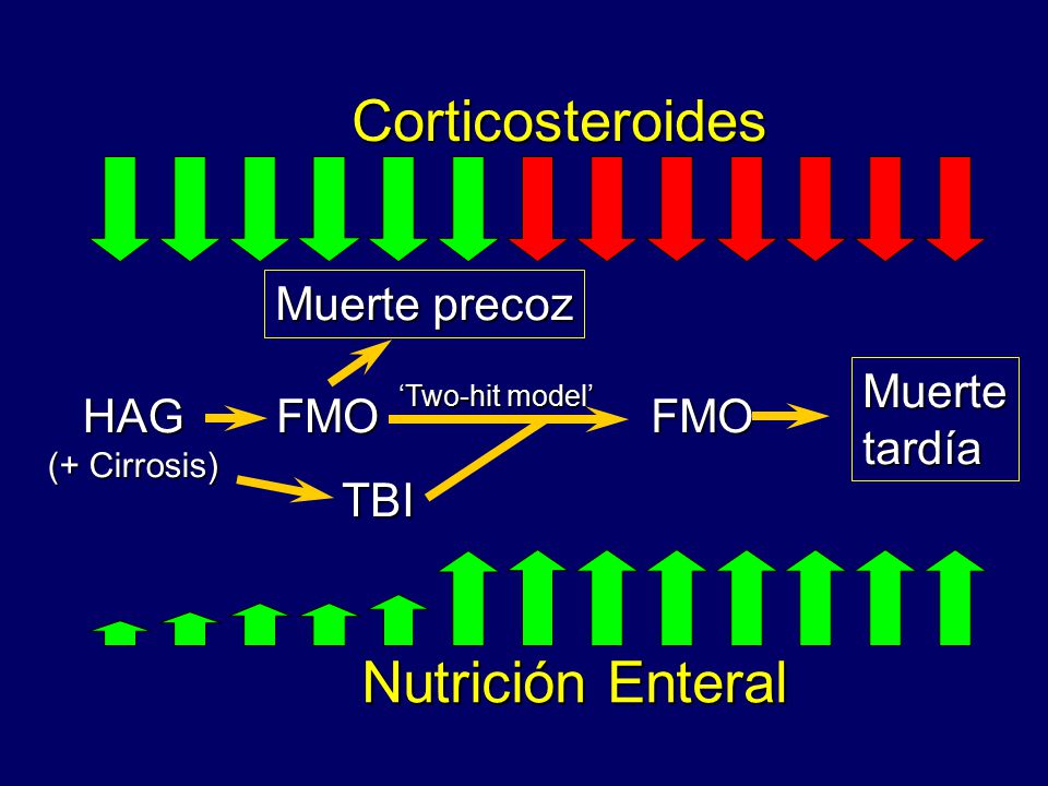 Corticosteroides Nutrición Enteral Muerte precoz FMO Muerte tardía TBI