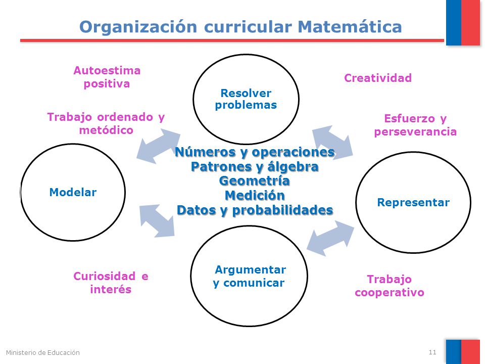 Organización curricular Matemática