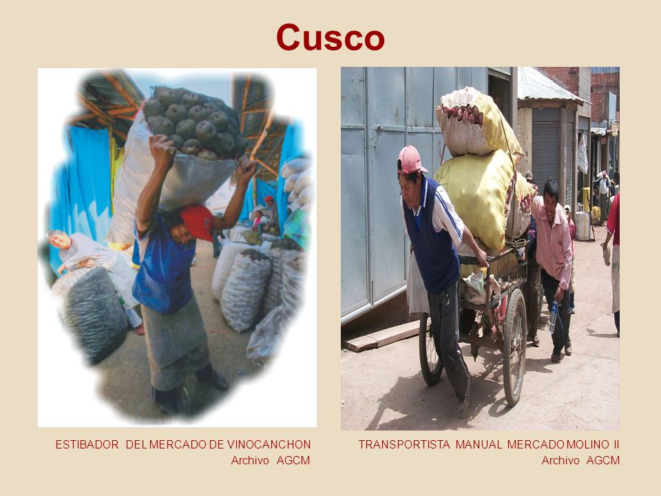 Cusco ESTIBADOR DEL MERCADO DE VINOCANCHON TRANSPORTISTA MANUAL MERCADO MOLINO II.