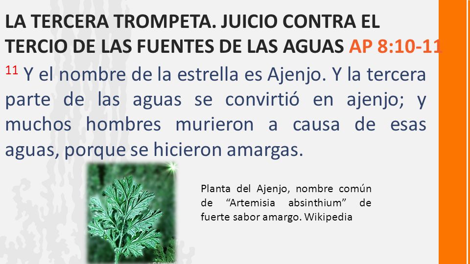 La tercera trompeta. Juicio contra el tercio de las fuentes de las aguas Ap 8:10-11